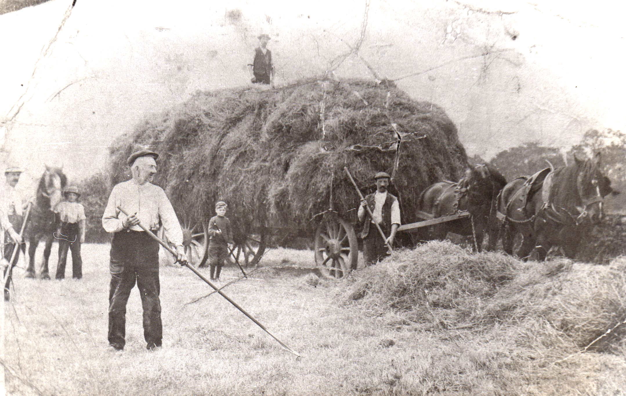 Chipping Haymaking